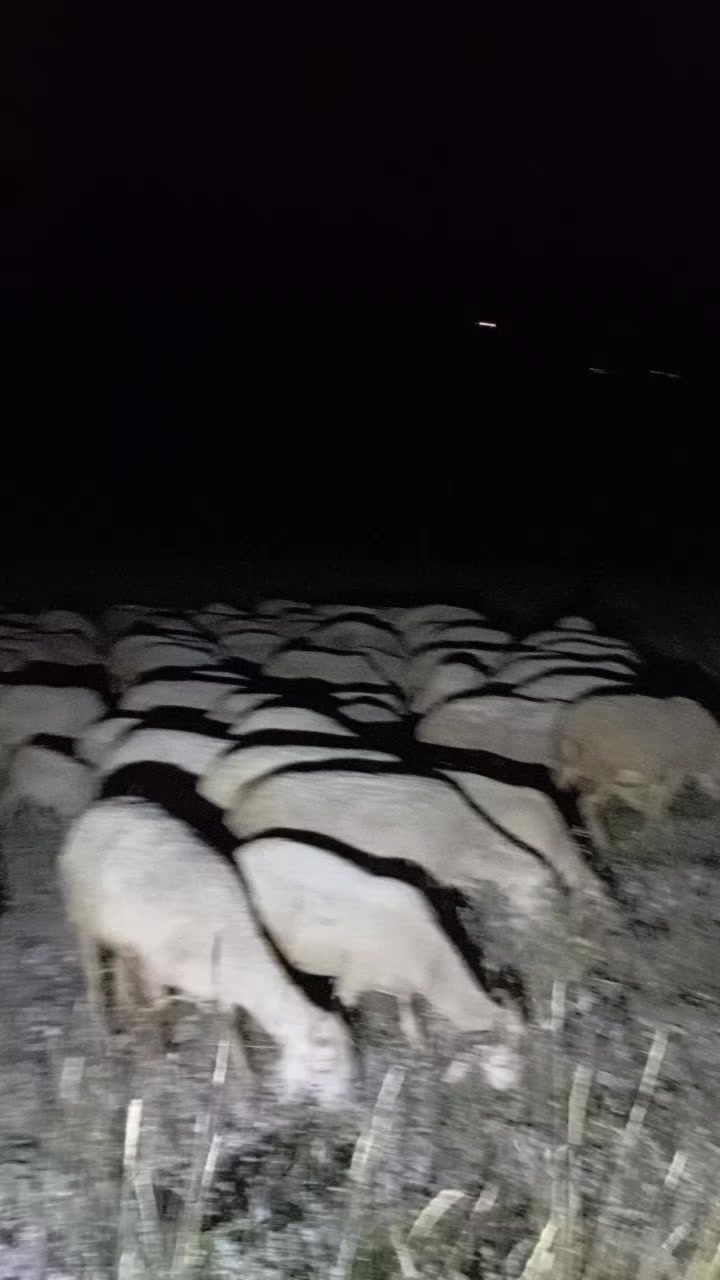 @Furkan STLMŞ 03