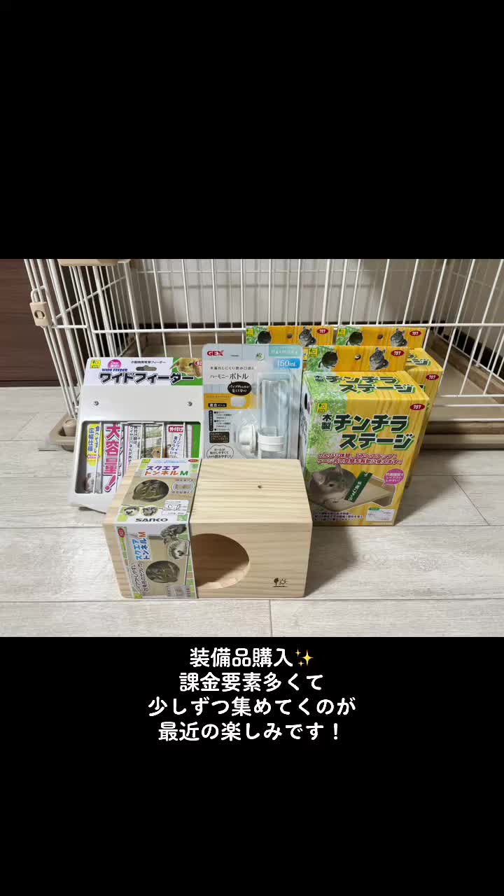 @チンチラ飼いたいアラサー女子