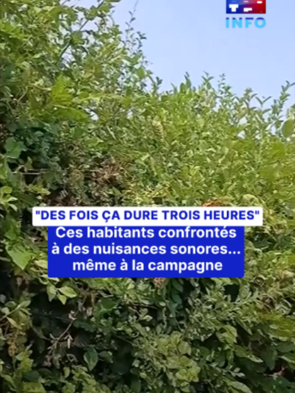 @TF1 INFO