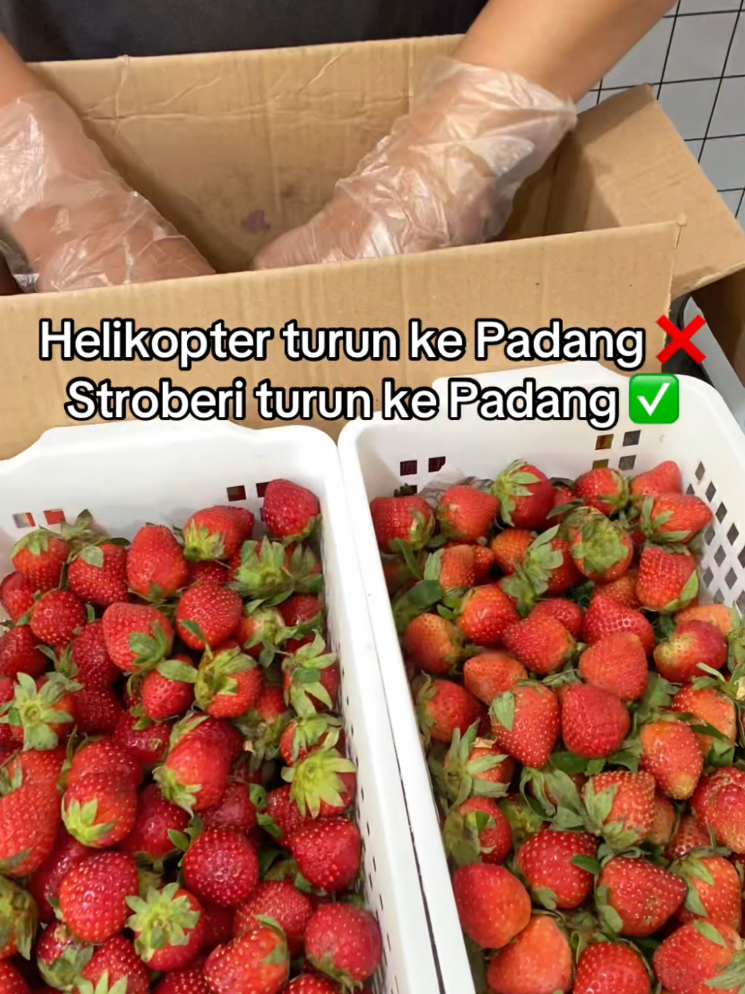 @SERBA BUAH PADANG2