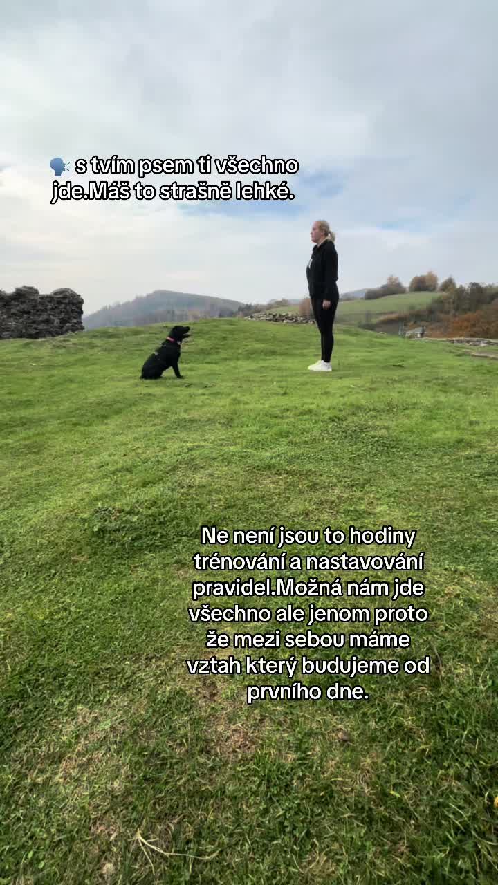 @labradors_gang_plus_one