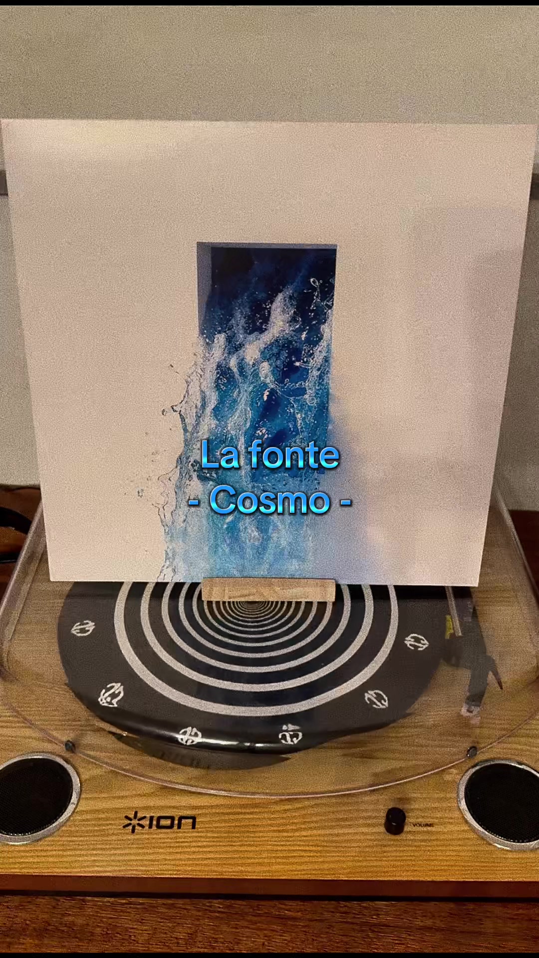 @AnimaVinile