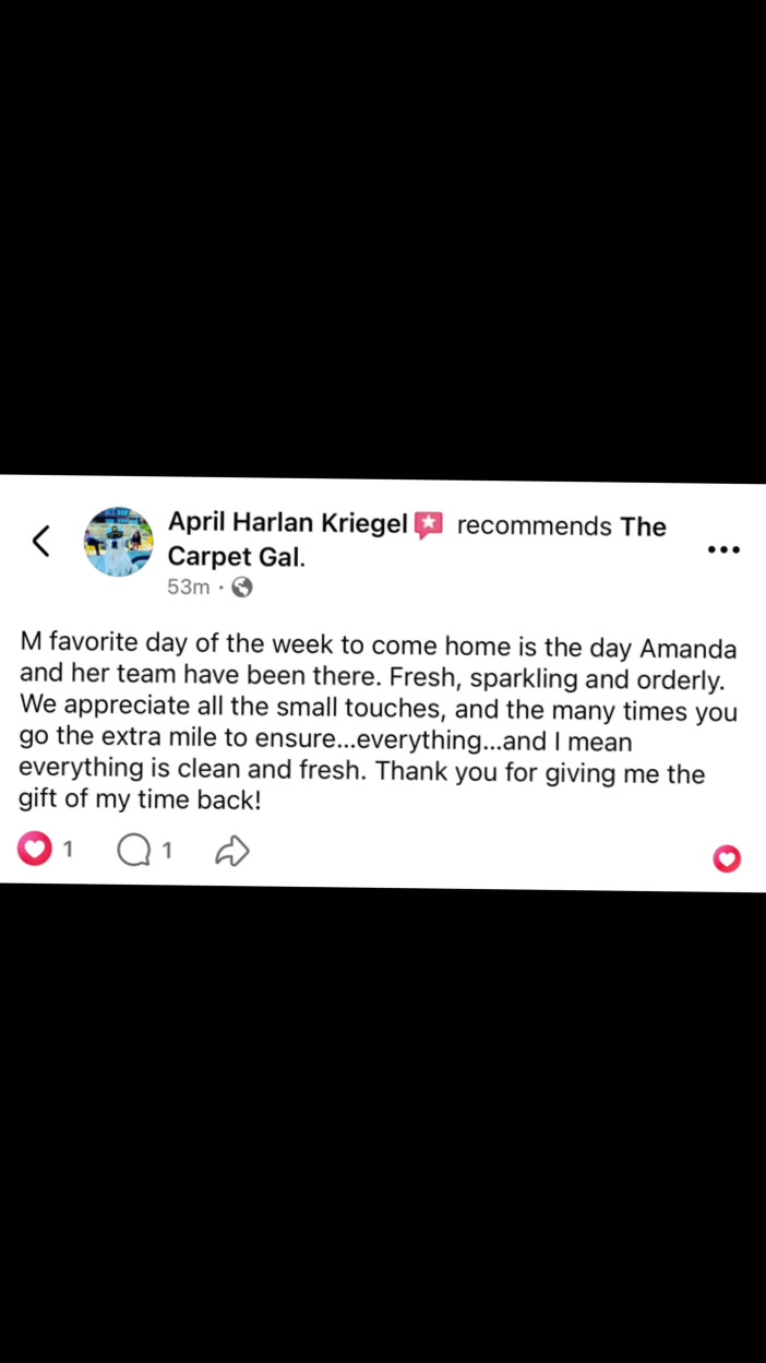 @TheCarpetGal-Cleaning Service