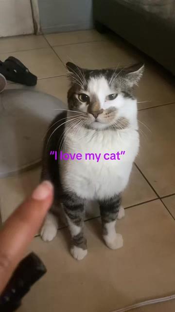 @Luv4.emily