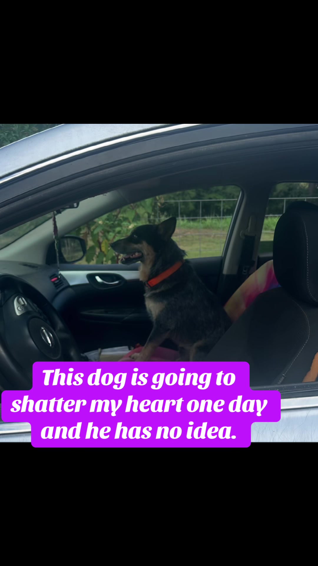 @Heeler Mom๐๐พโ