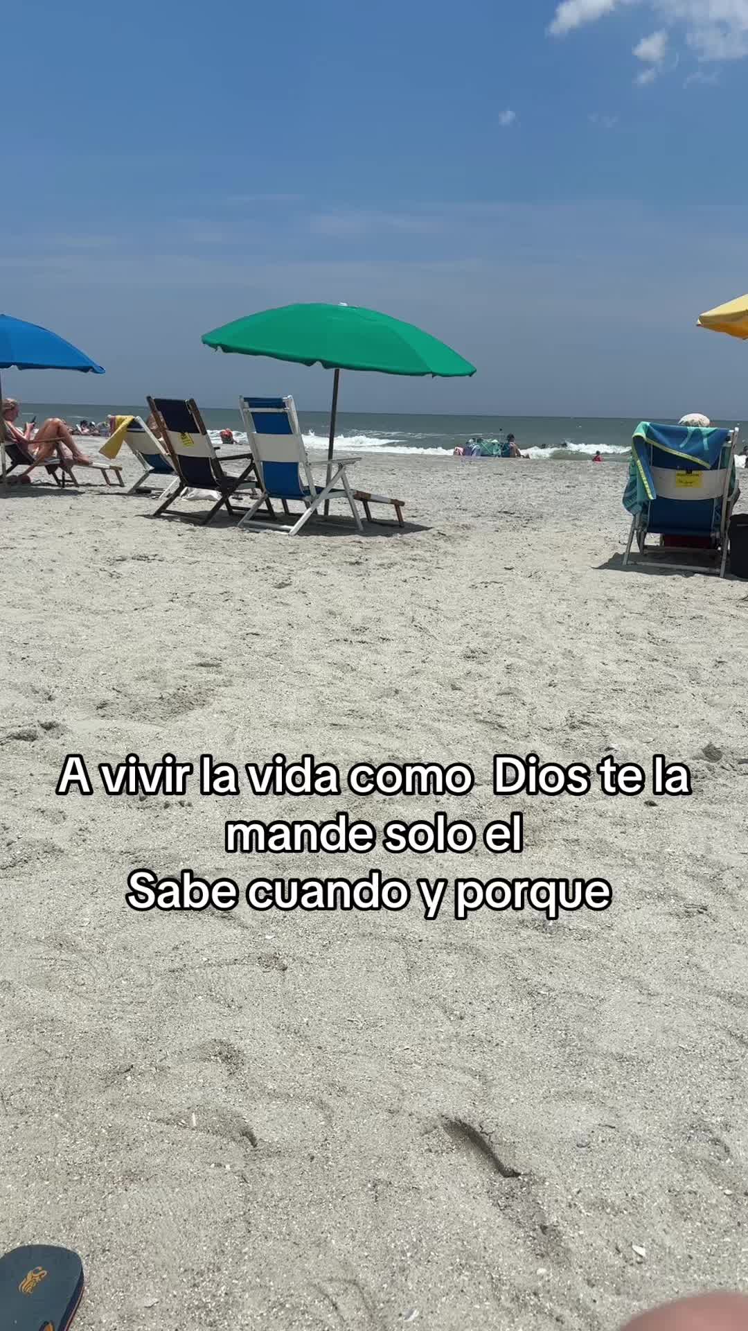 @Aliciag13