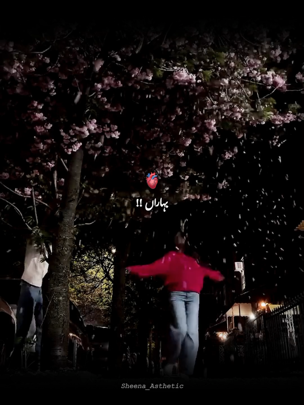 @💞𝓢𝓱𝓮𝓮𝓷𝓪 𝓦𝓻𝓲𝓽𝓮𝓼 💞