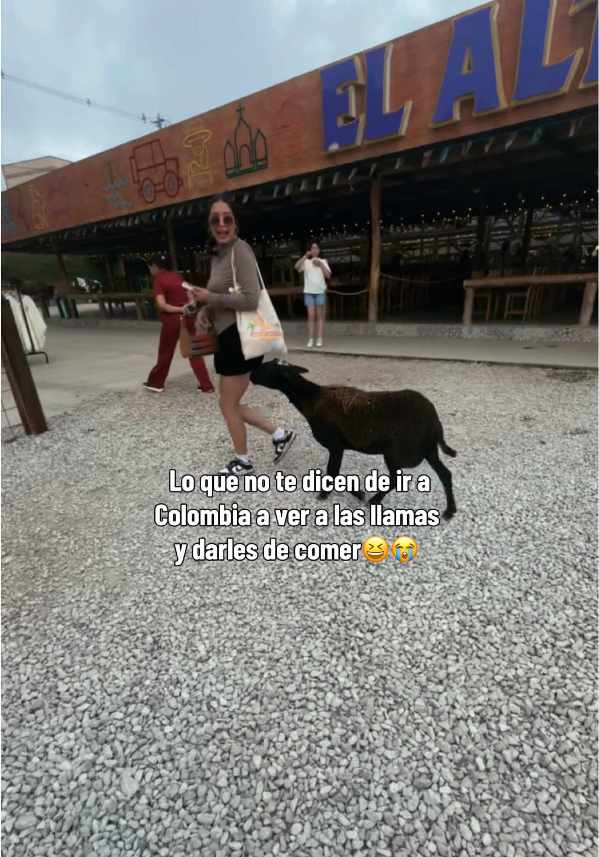 @Alma🦋🤍