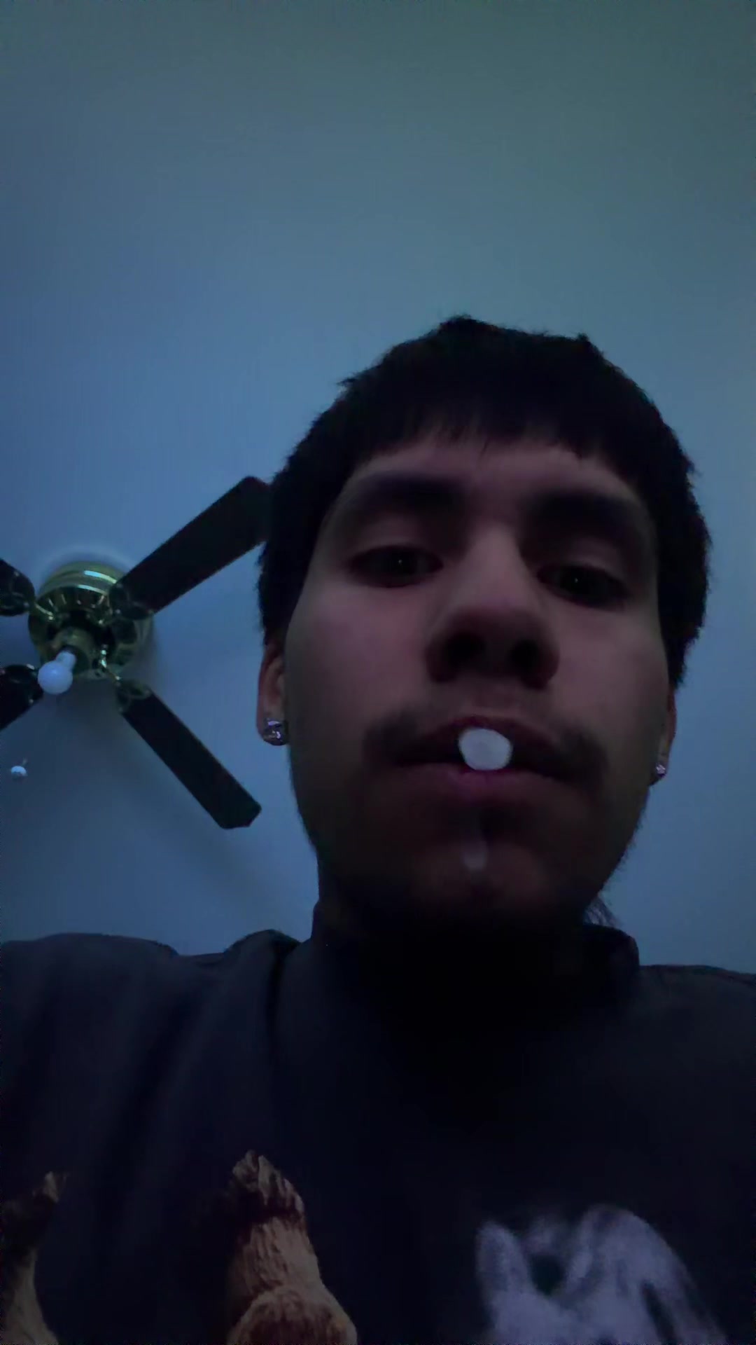 @trapstaxs