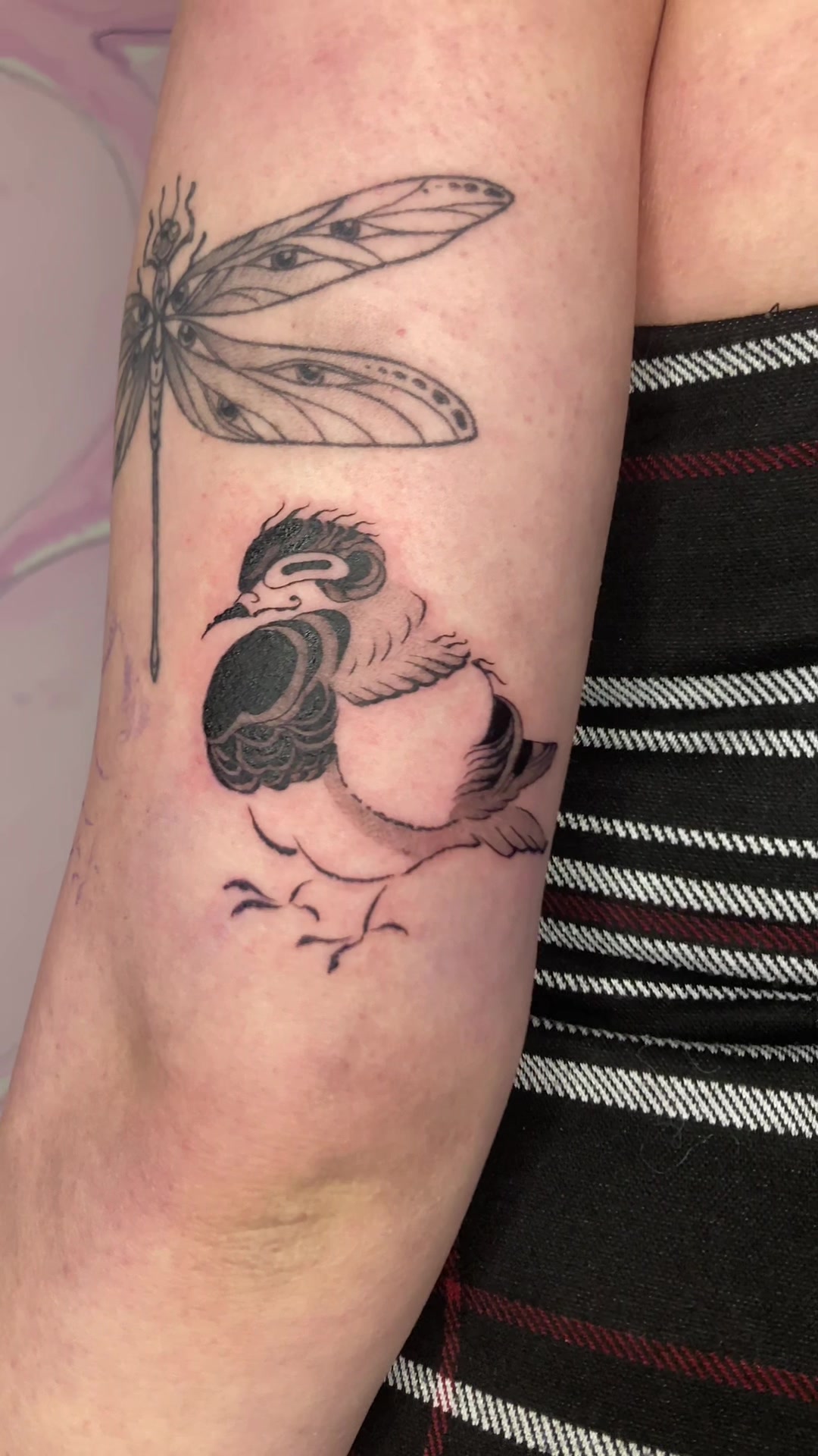 @isip.ink