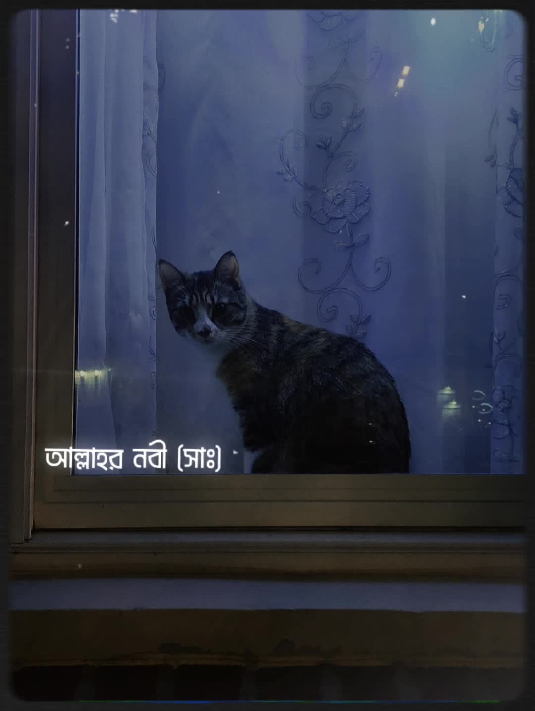 @আহমেদ ফয়সাল🇧🇩