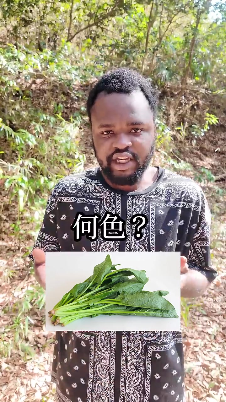 @ダモ好き