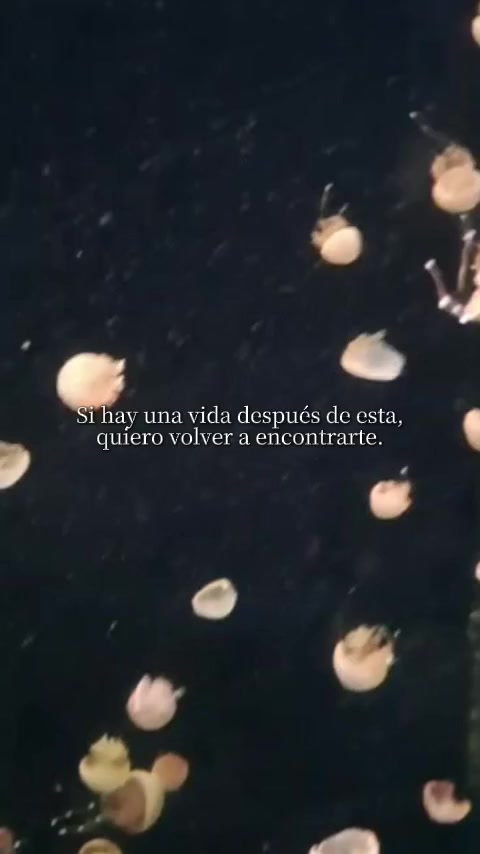 @Reflexiones del corazón