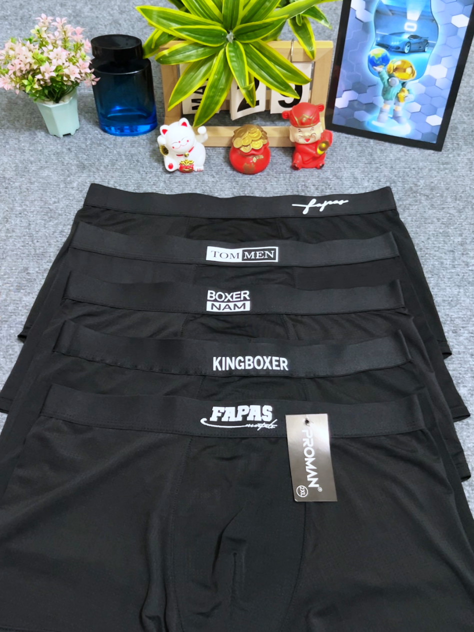 @Mr Âu Boxer