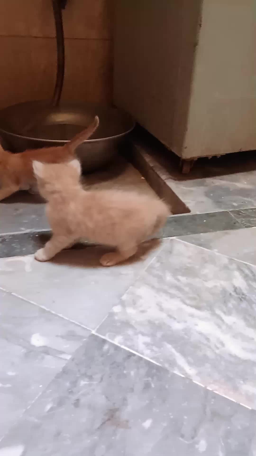 @cutecatlover8172
