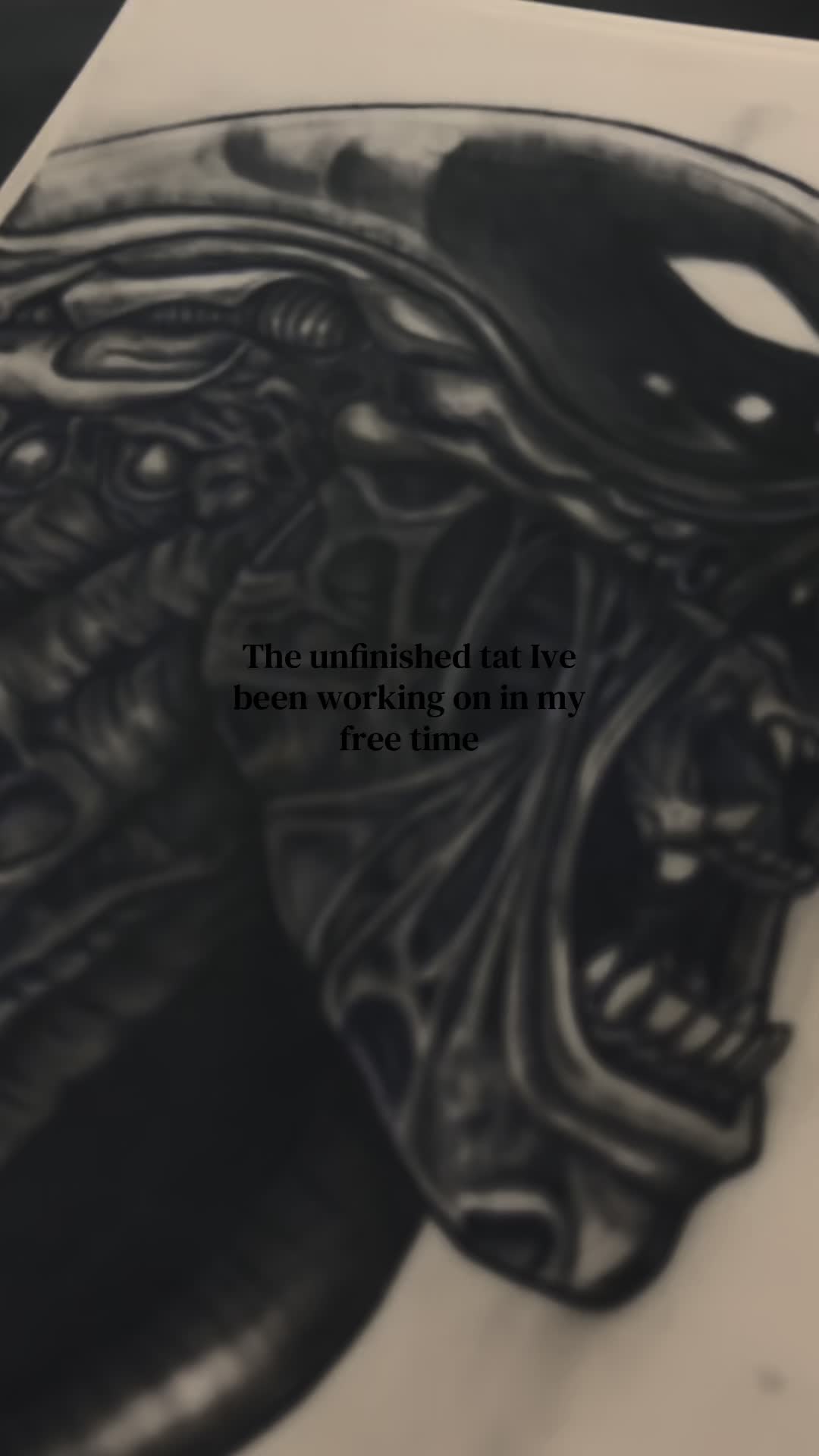 @Ausie🍃 || Tattoo Artist