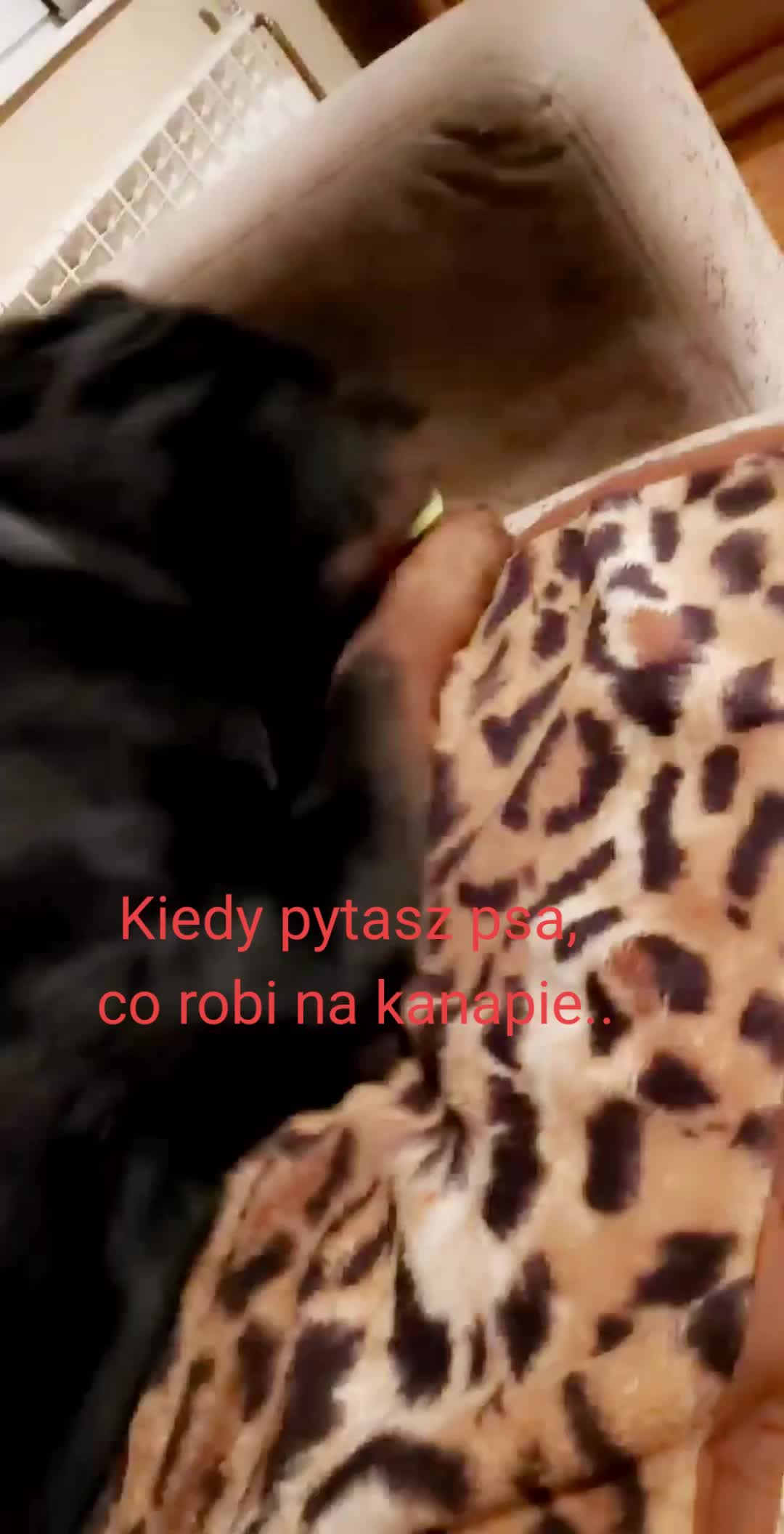 @eelkaa1988wp.pl