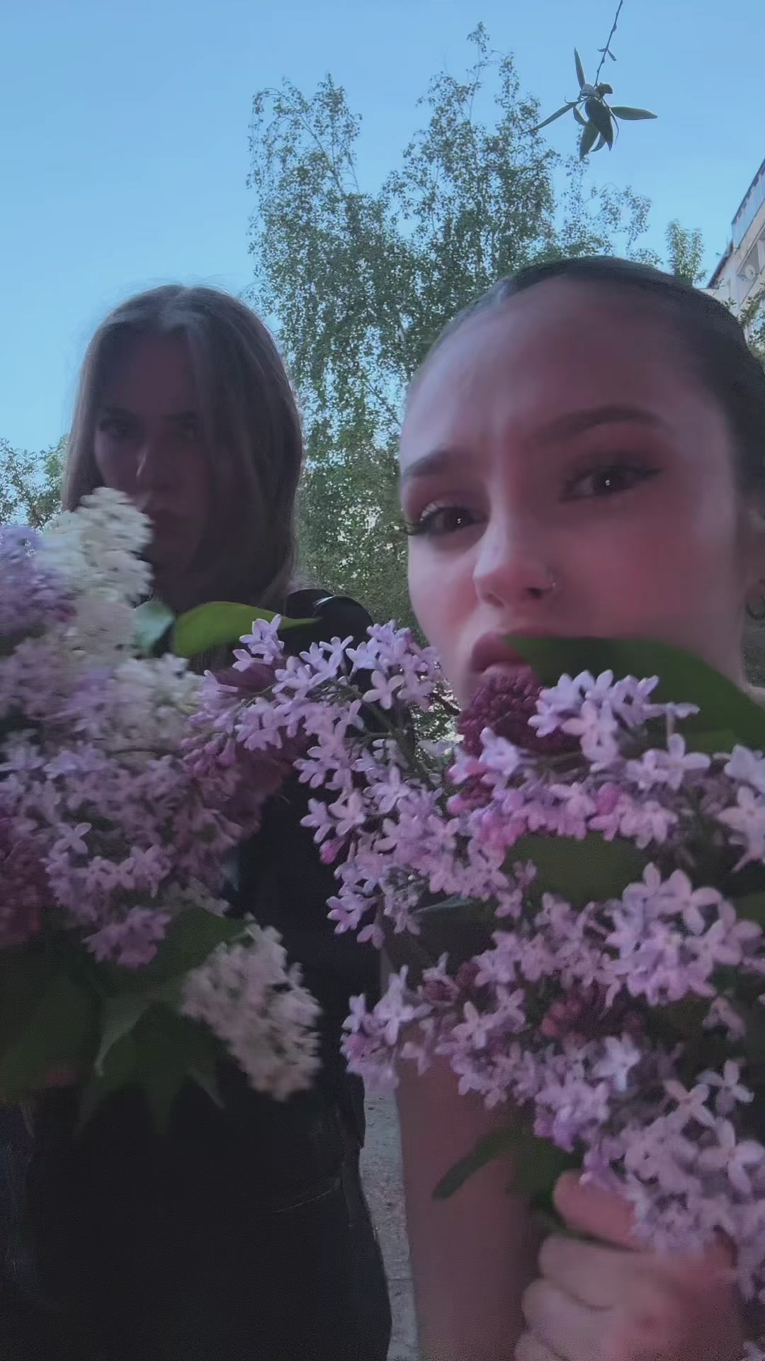 @вероніка троль