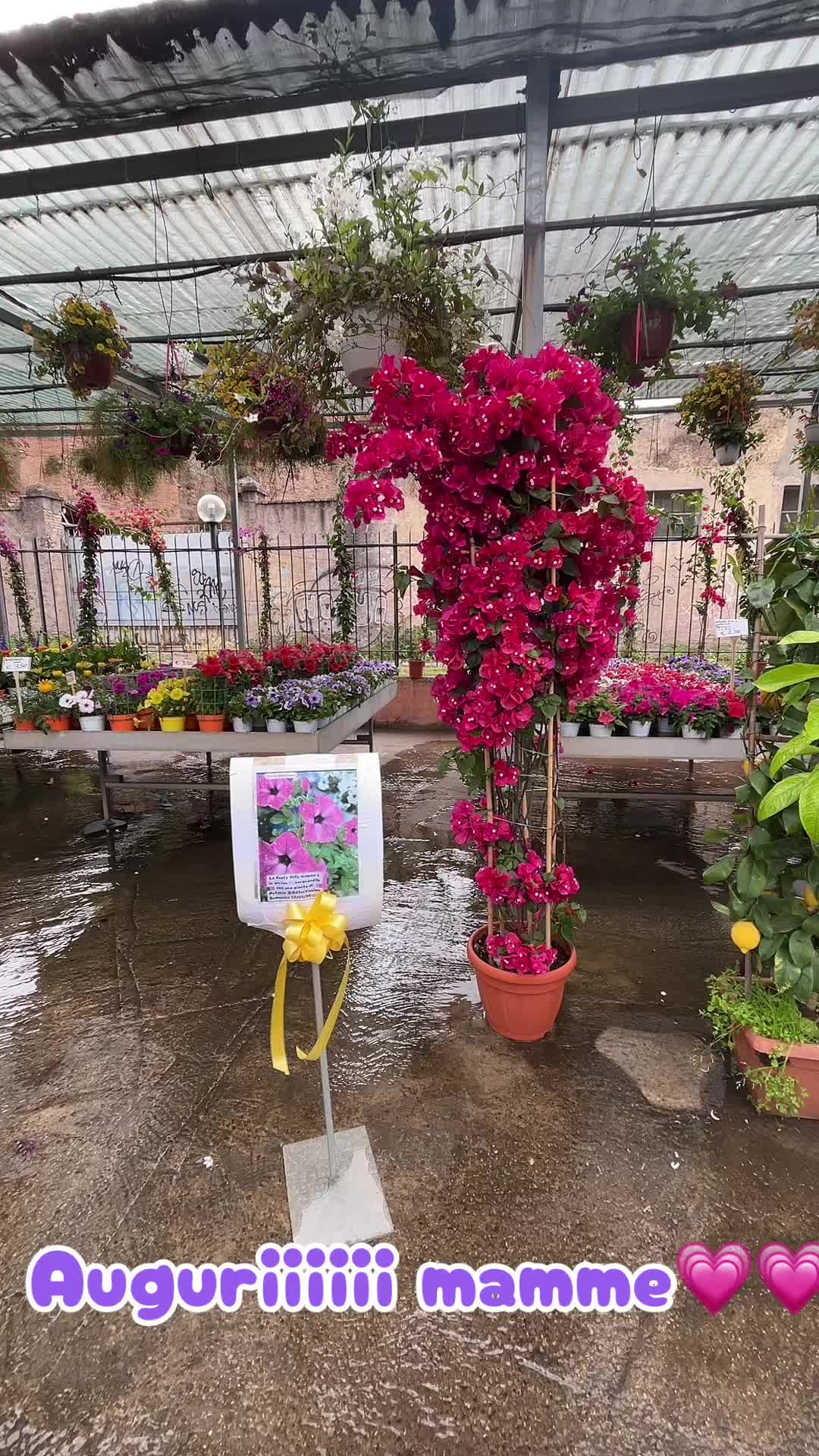 @vivaioanticogarden