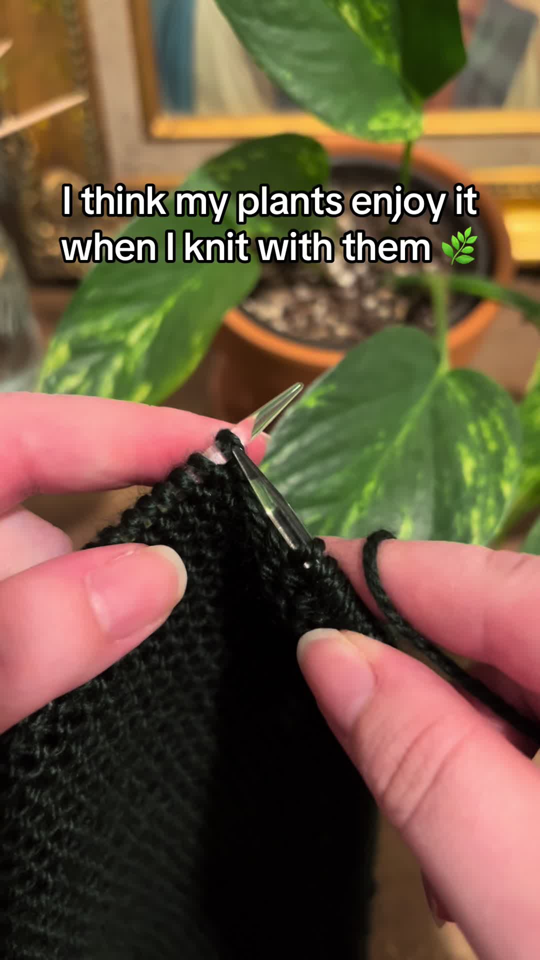 @HobbyHopper