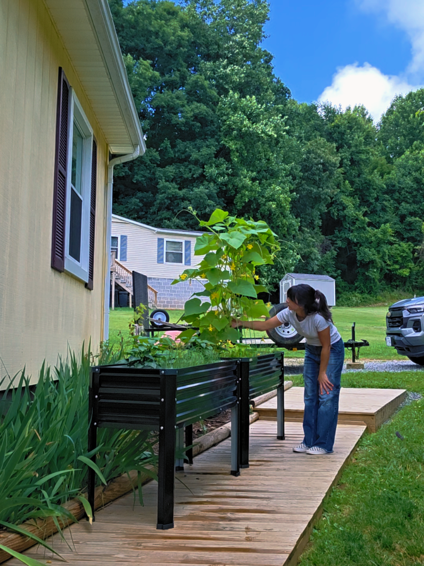 @Cassidy | My Appalachian Life