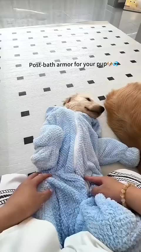 @Golden fam