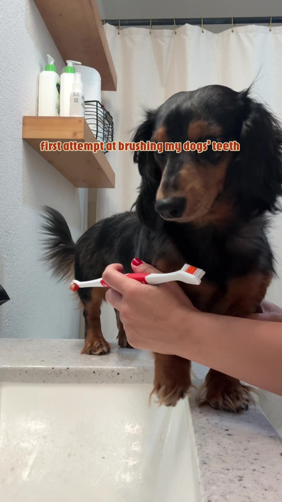 @dennisxrussell