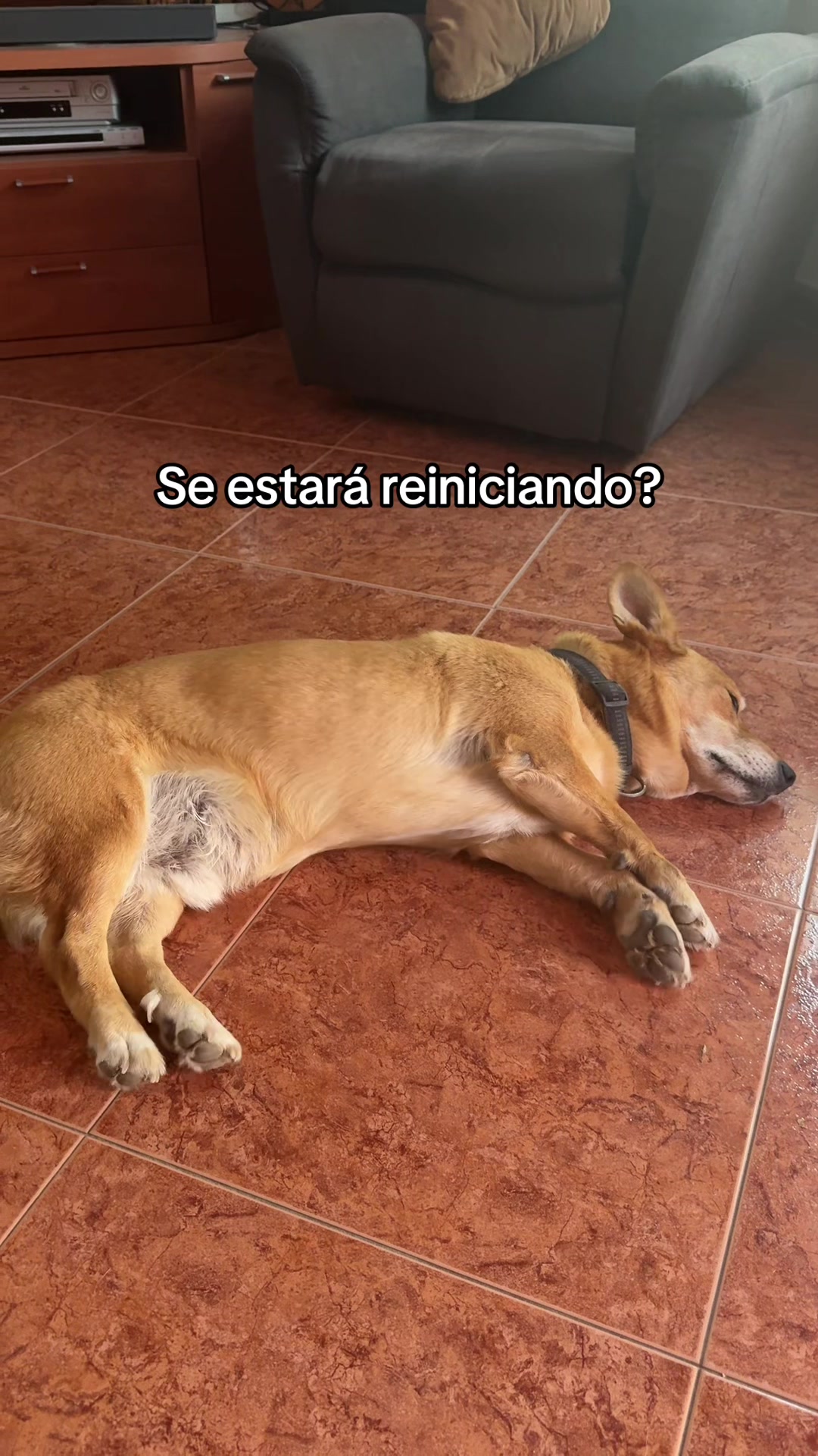 @𝑴𝑨𝑹𝑰𝑨