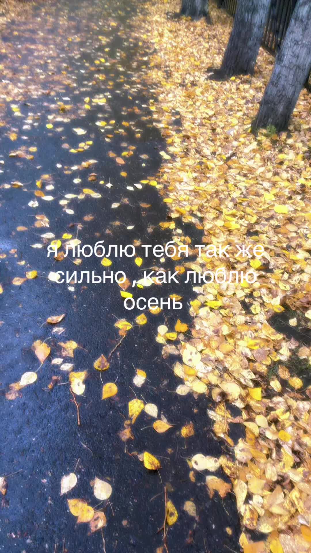@мисс кориса