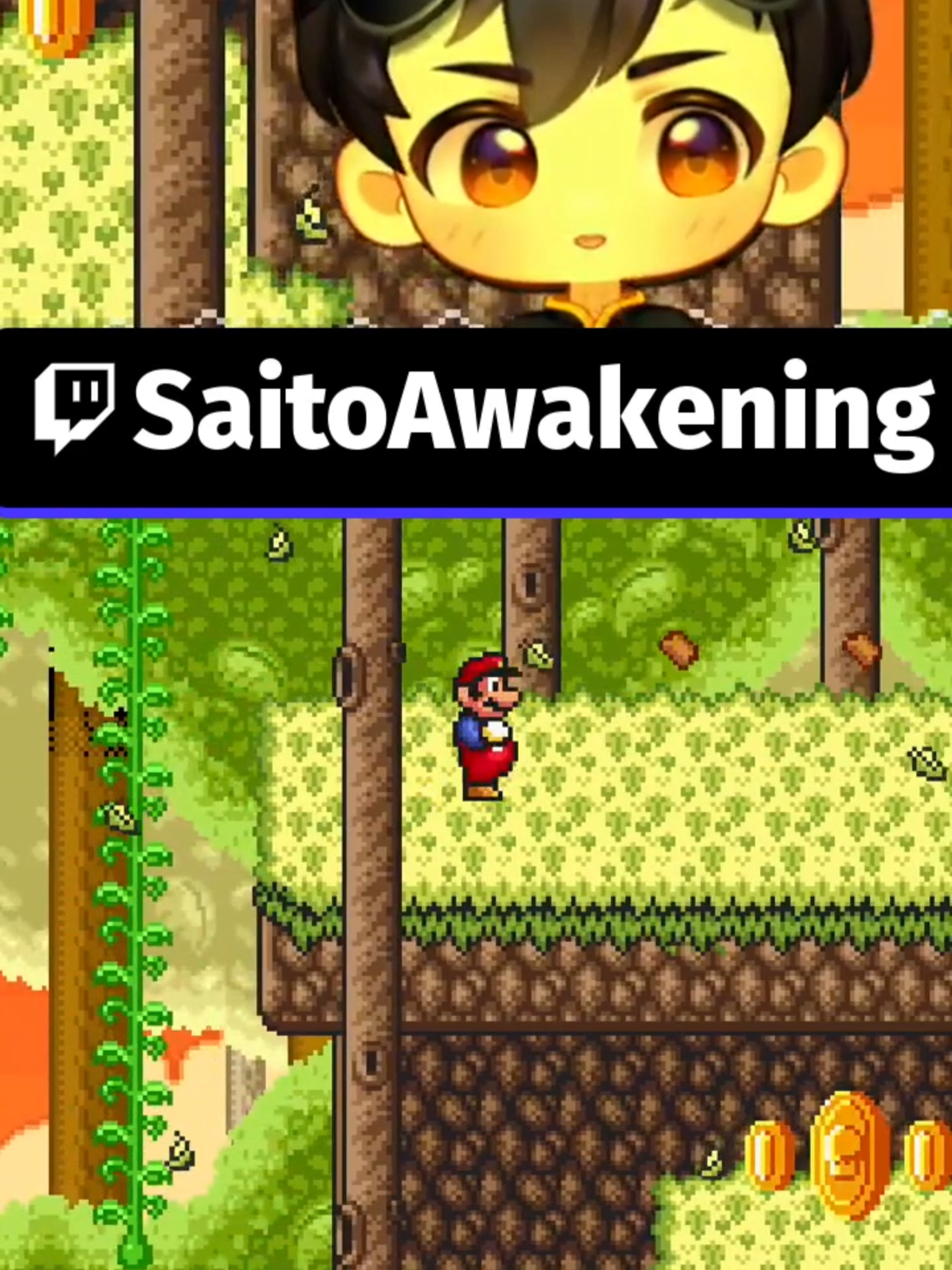 @SaitoAwakening🍁