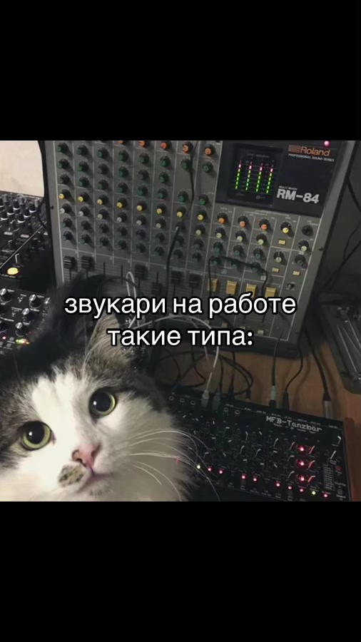 @indy_kitya