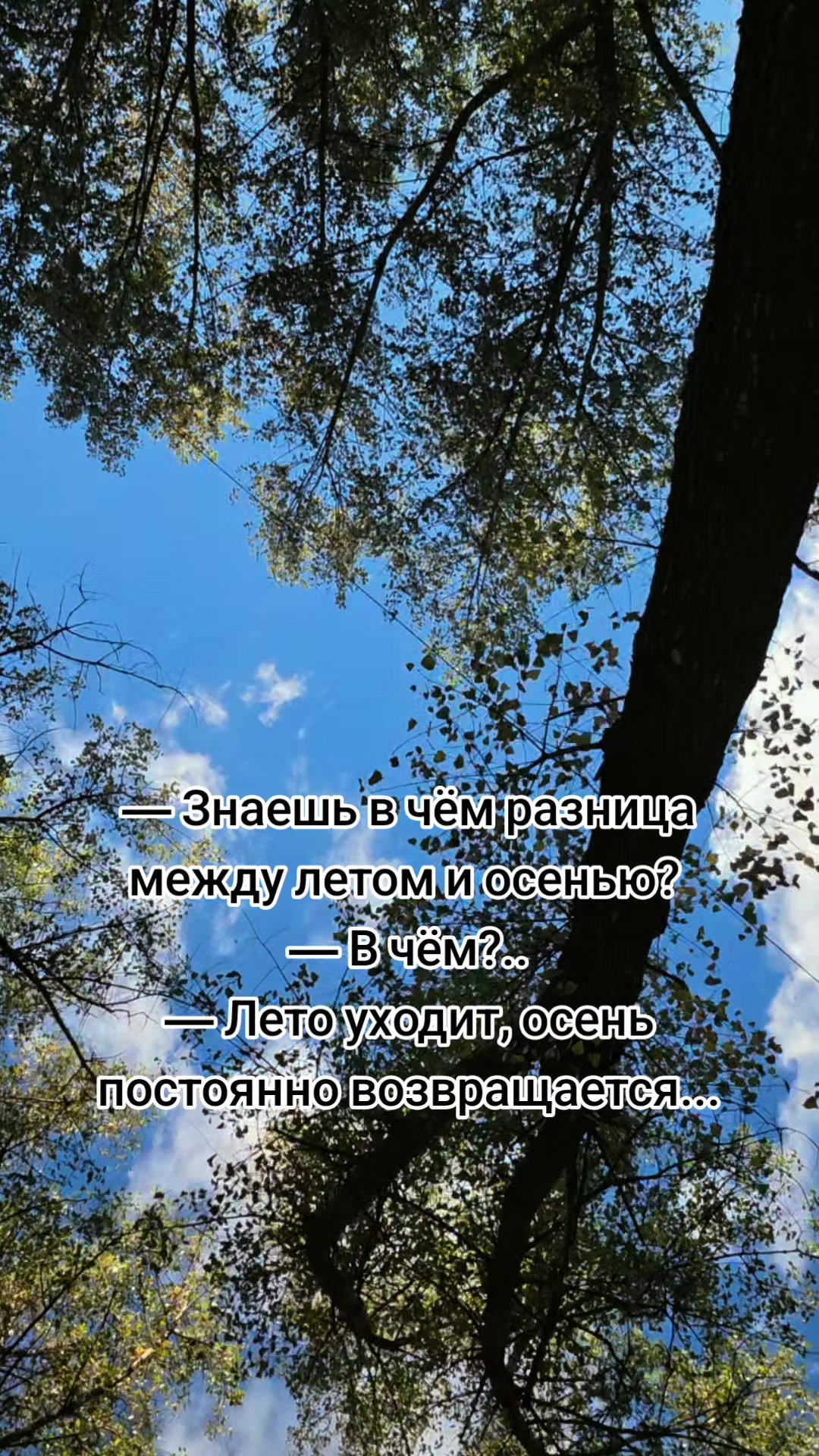 @Lesya Bronzova