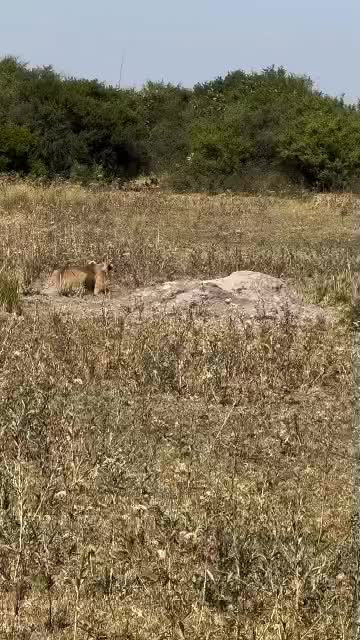 @John Kasanula