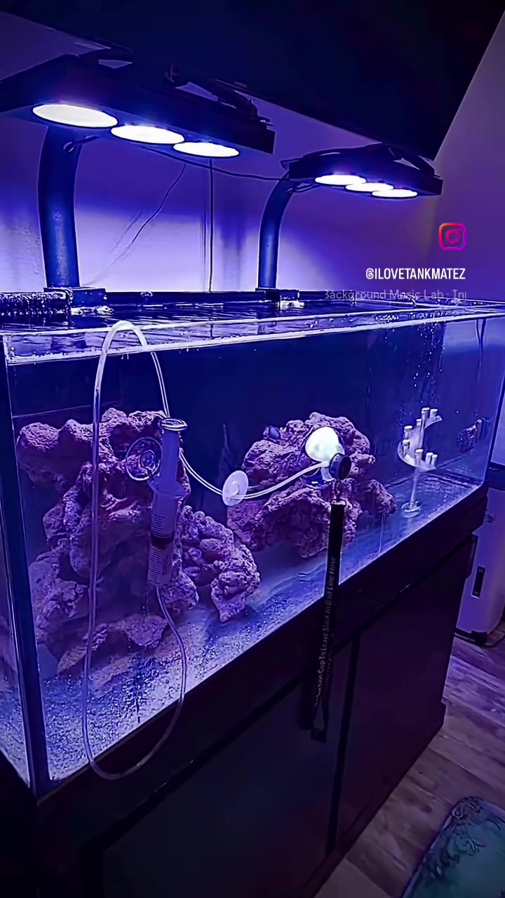 @Tankmatez.com USA