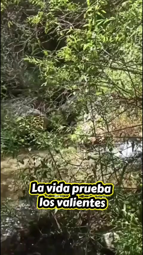@lourdessie