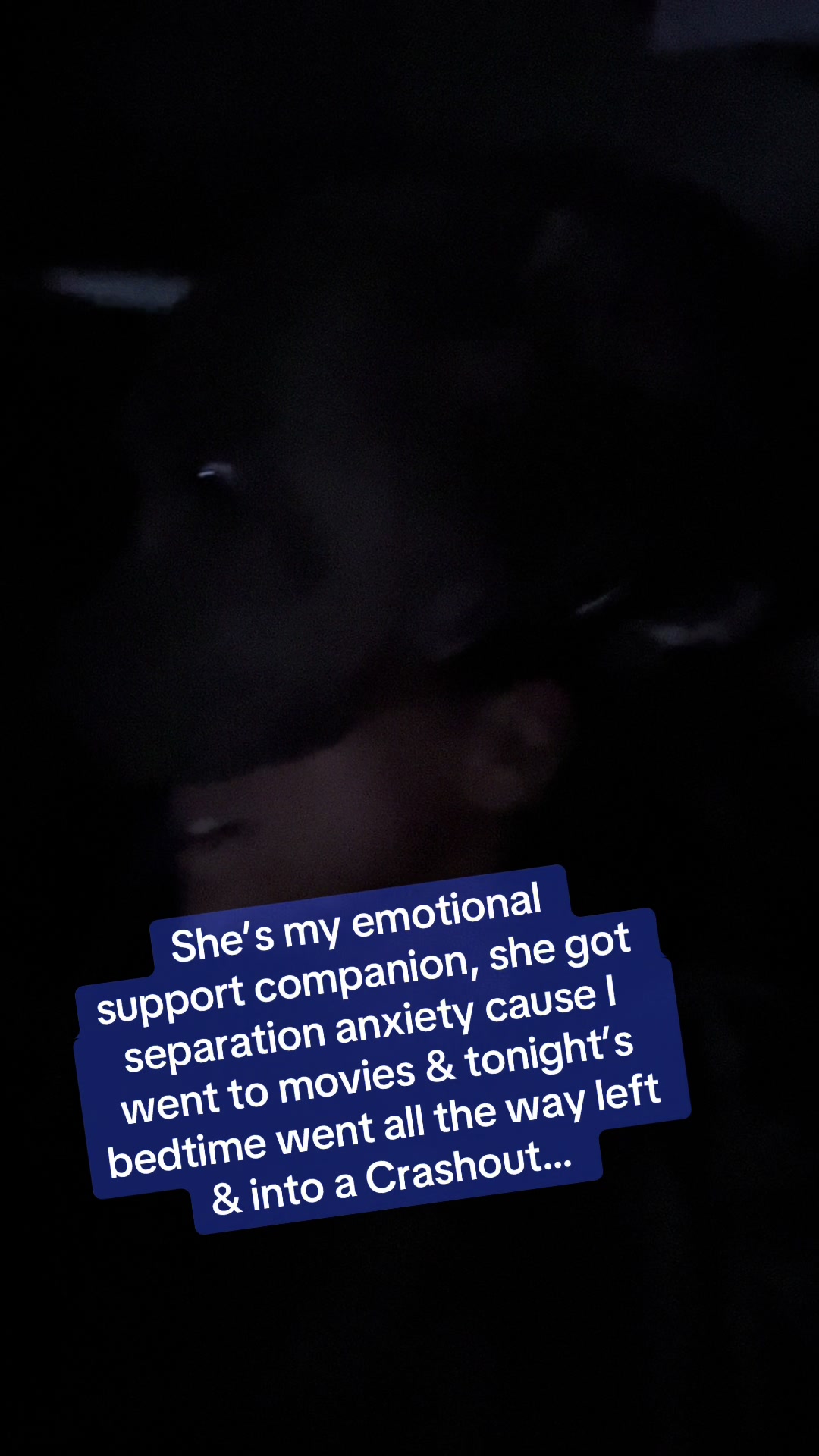 @jusTash