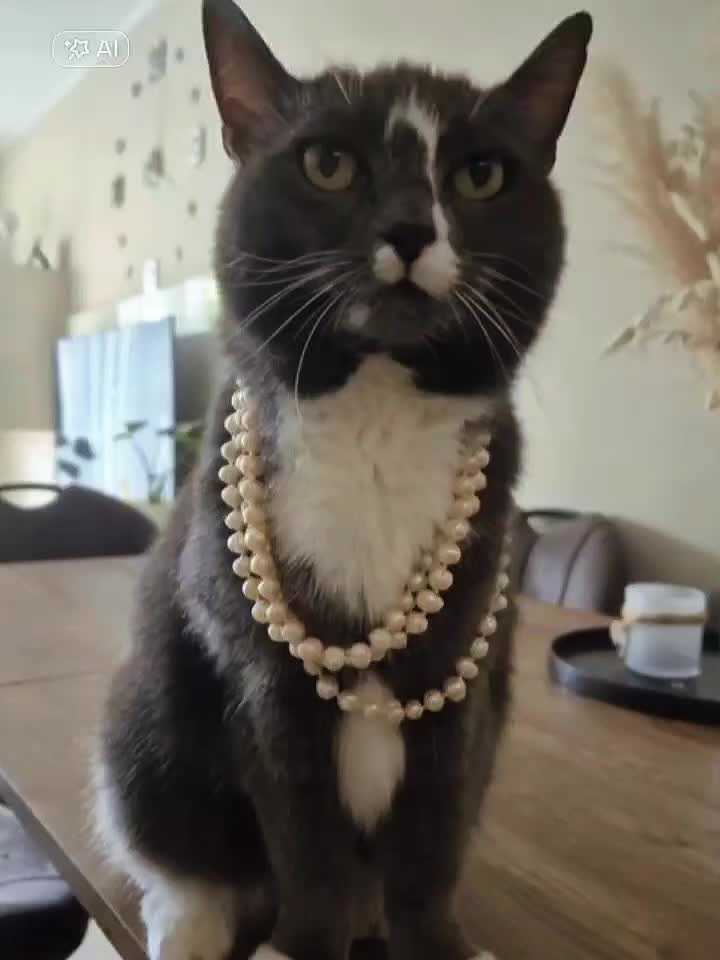 @Queen_Alisa