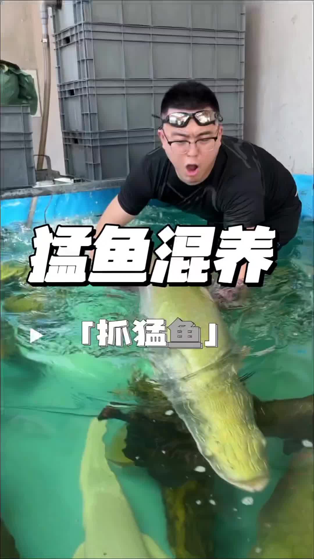 @Monsterfishkeeper