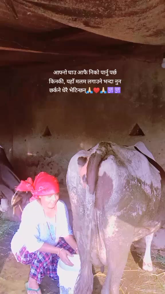 @Juna Bhusal