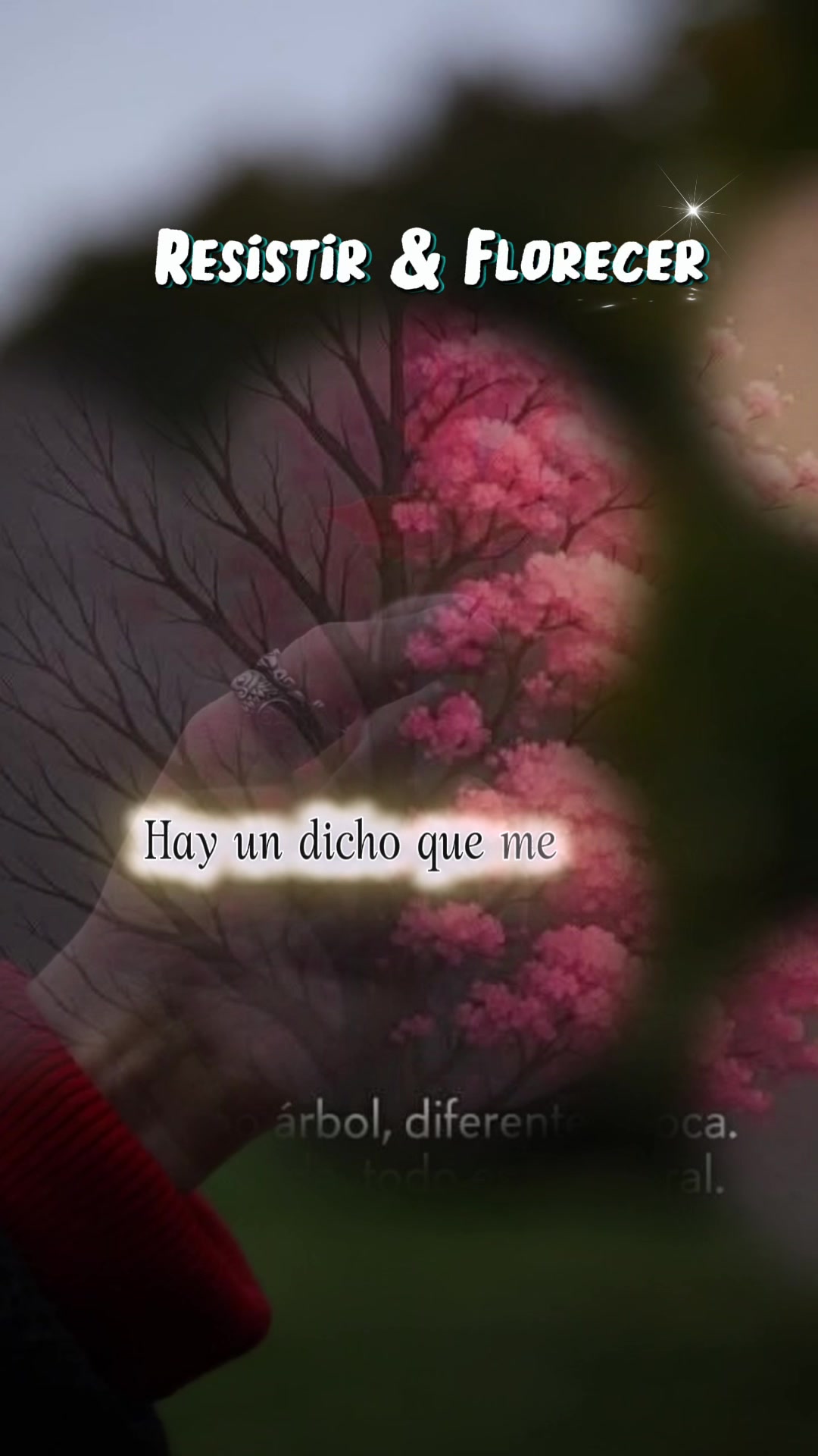 @🐝👑🍒JUDITH DE IDALIA 🍒🧩💙