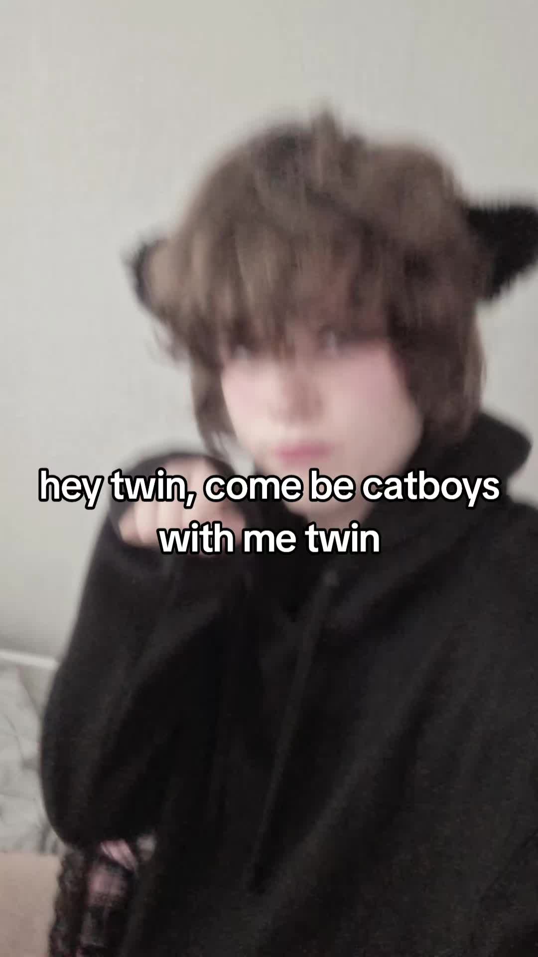 @catboy lilac