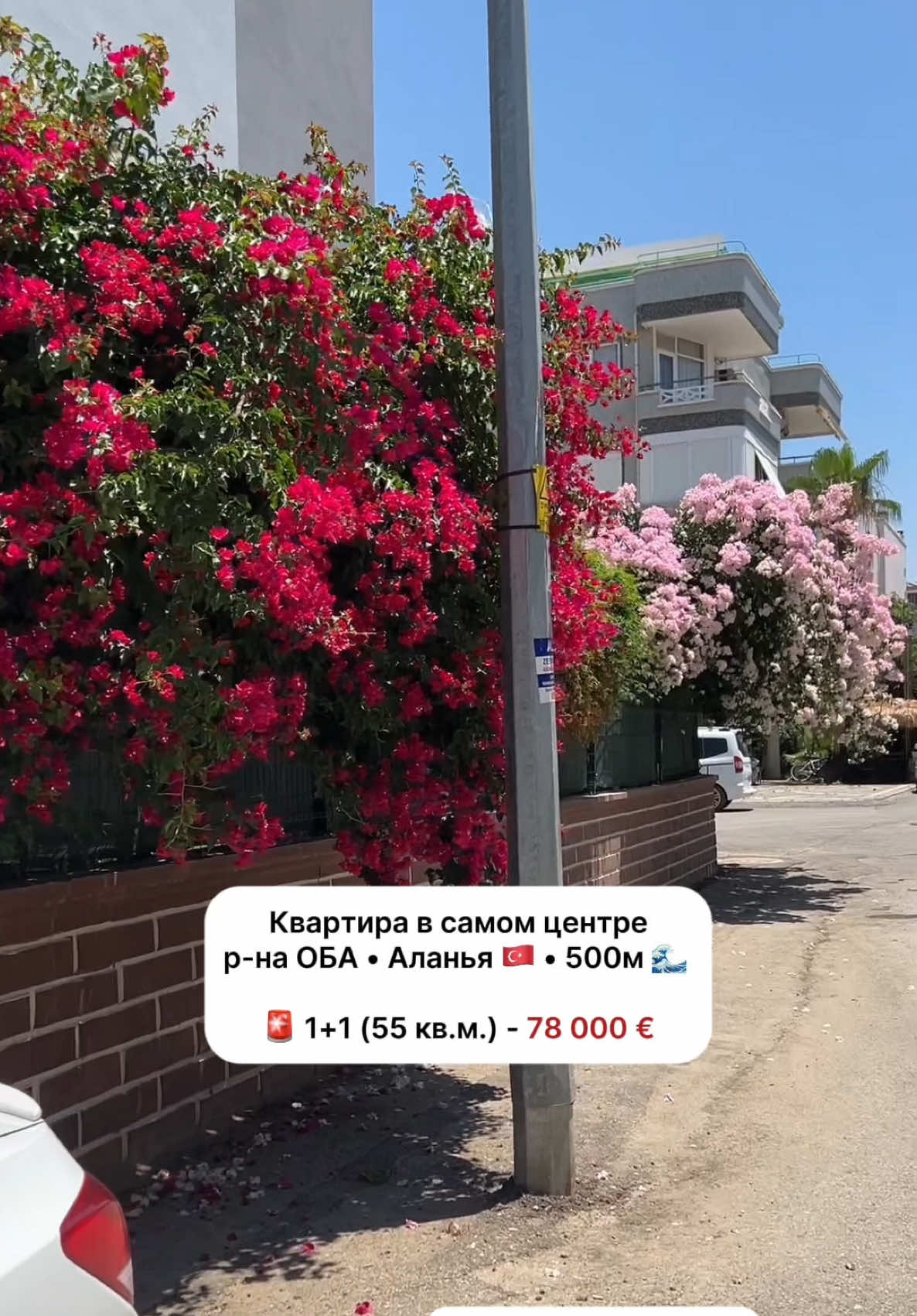 @Татьяна в Турции 🇹🇷