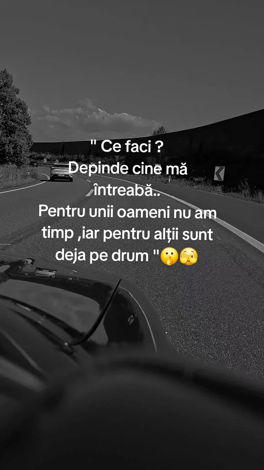 @Nicoleta Balan