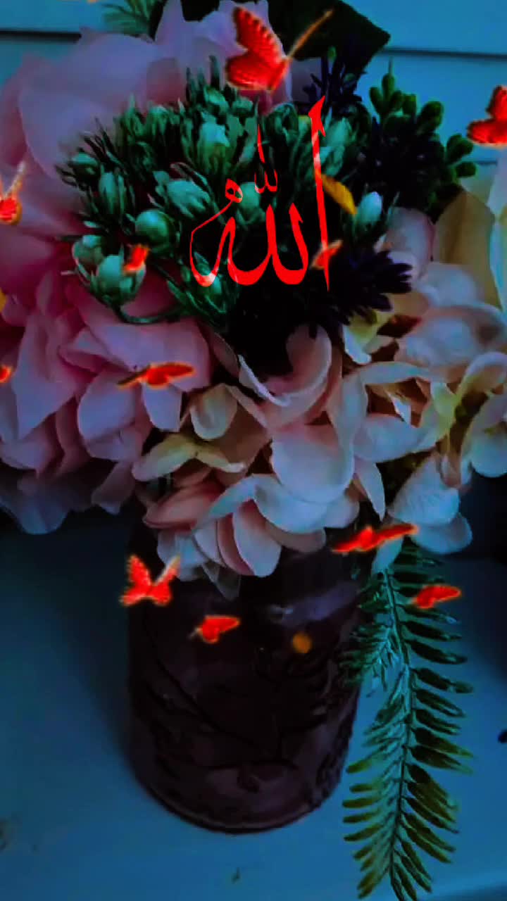 @amaan1949