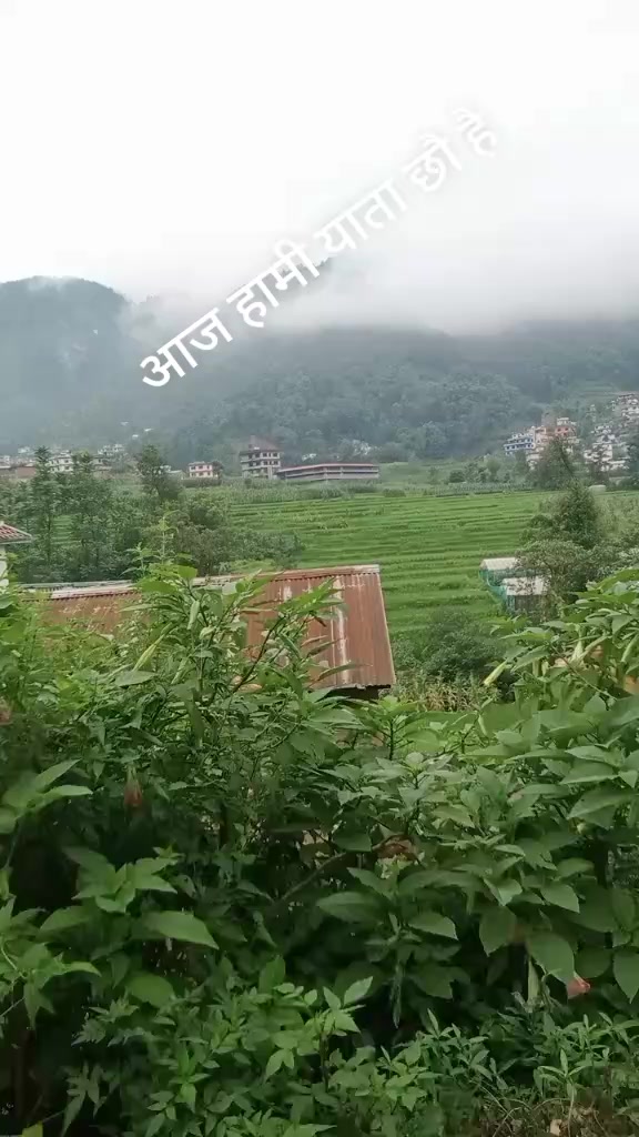 @Phanindra Khatri1