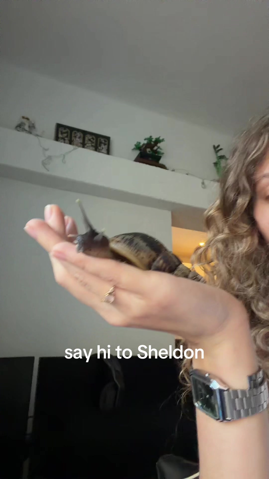 @sophiesarlak
