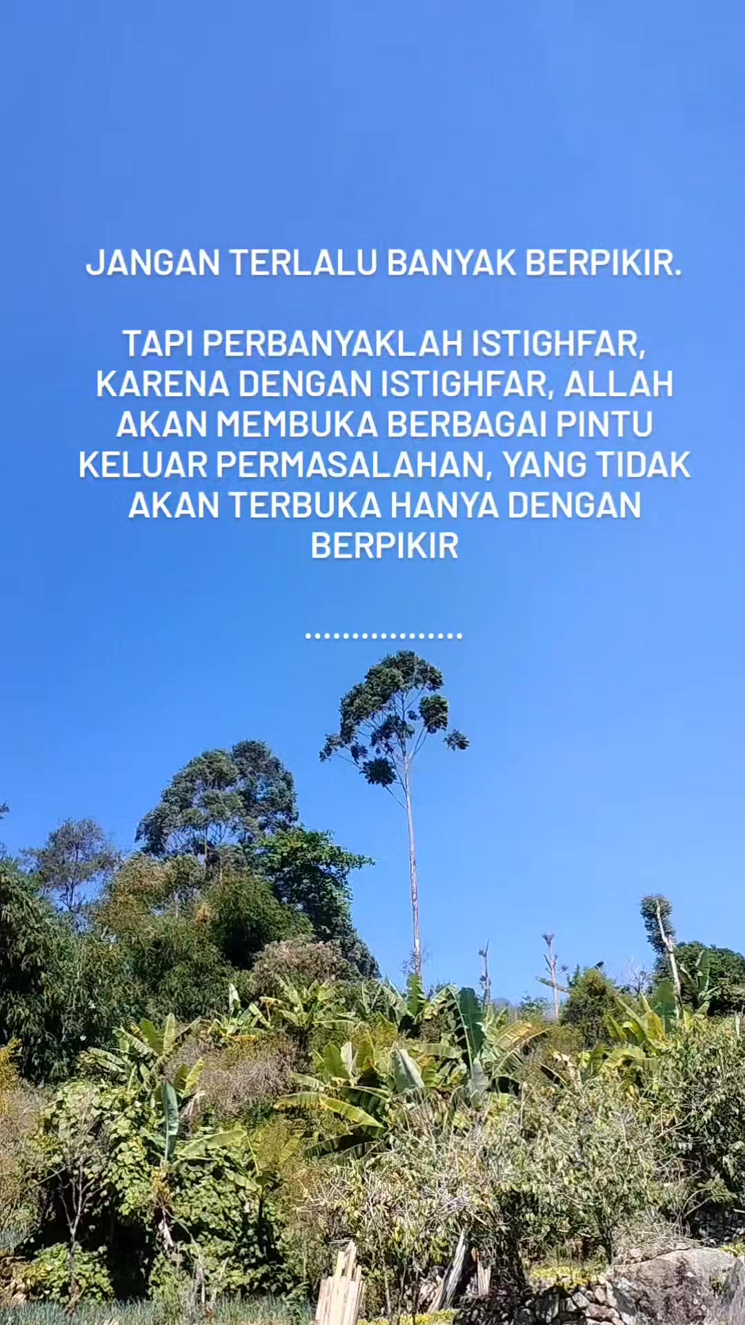 @mamih endut