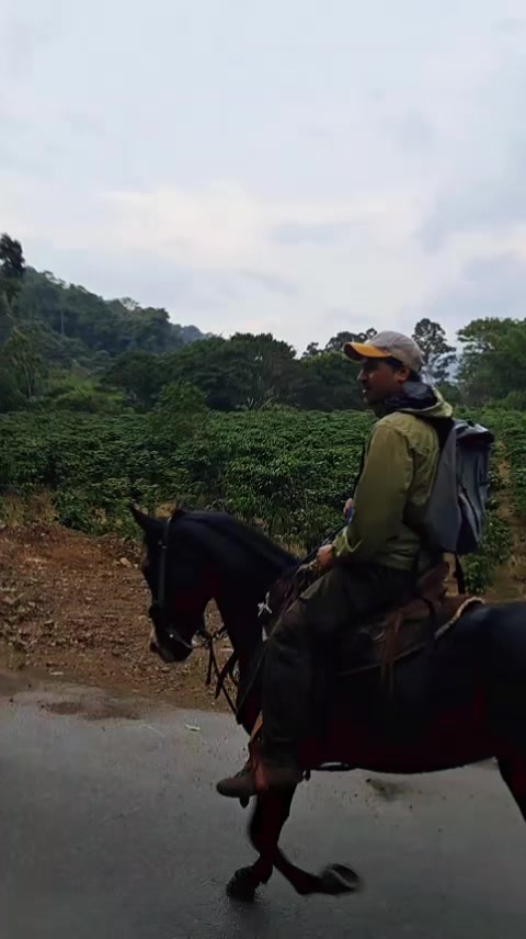 @Quetzal Tours CR🇨🇷