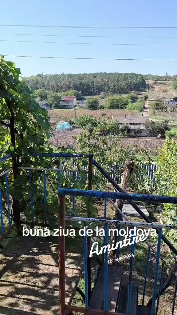 @🫶🫶🫶iulia🥰🥰🌹🌹⚘️🌿
