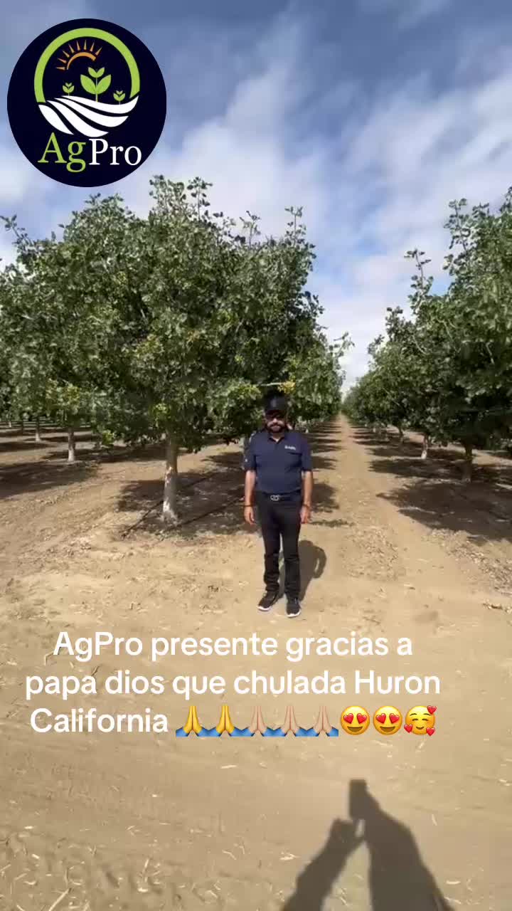 @Piedad Ayala